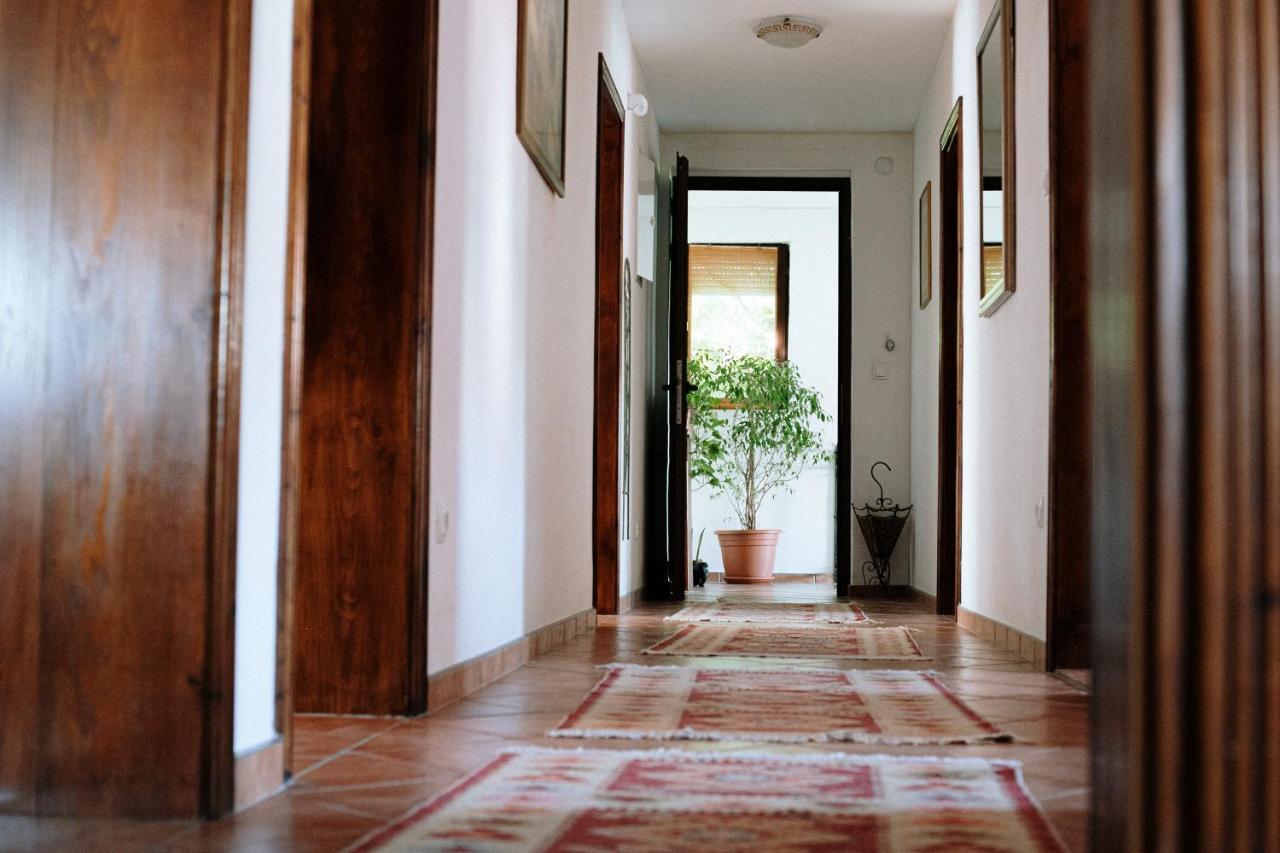 Apartament Ikar